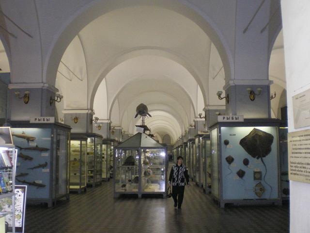 Zoological Museum